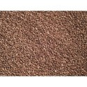 Ballast Flocage