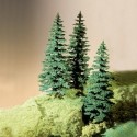 Arbres et buissons