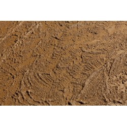 Modelling compound, terrain, earth-brown7815078150