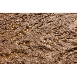 Model puddle, brown7815278152