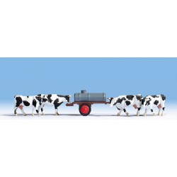 Vaches à l'abreuvoir