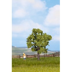 Arbre frutier, Vert