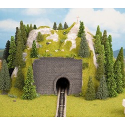 Portail p.échelle réduite