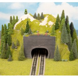 Portail p.échelle réduite