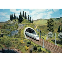 ICE Entrée de Tunnel