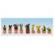 Plantes d'ornement en petits pots de fleurs