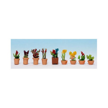 Plantes d'ornement en petits pots de fleurs