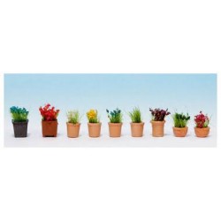 Fleurs en petits pots de fleurs