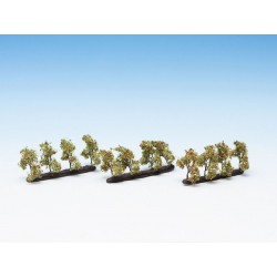 Arbres de plantation avec des pommes N,Z21537