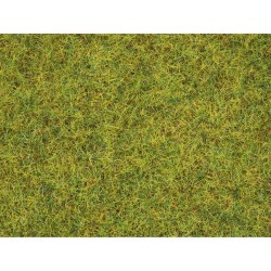 Herbe, Vert Clair, 2,5 mm G,0,H0,TT,N,Z50190