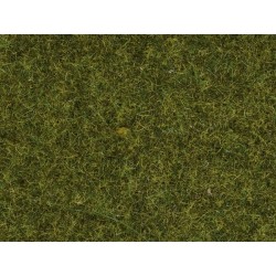 Herbe Pré, 2,5 mm H0,TT,N,Z50220
