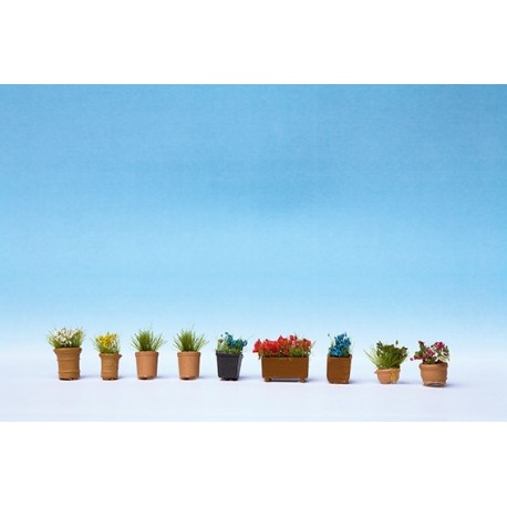 Fleurs en pots de fleurs