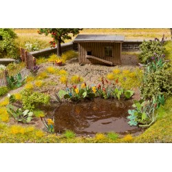 Plantes aquatiques et de berge