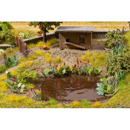 Plantes aquatiques et de berge