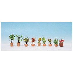 Plantes d'ornement en grands pots de fleurs